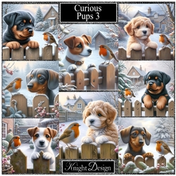Curious Pups 3