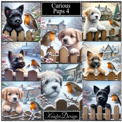 Curious Pups 4
