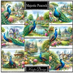 Majestic Peacock