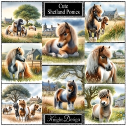 Cute Shetland Ponies