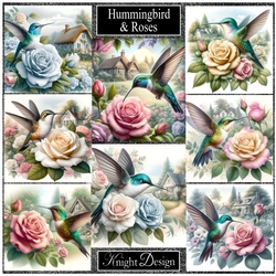 Hummingbird & Roses