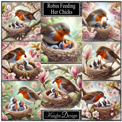 Robin Feeding Her Chicks