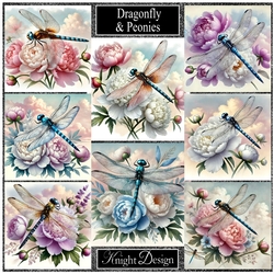 Dragonfly & Peonies