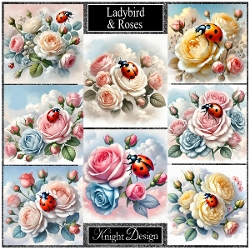 Ladybird & Roses