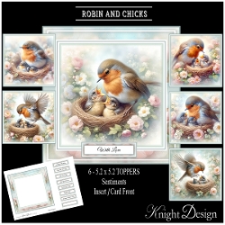 Robin And Chicks Mini Page Kit