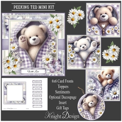Peeking Ted Mini Kit