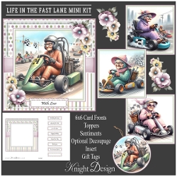 Life In The Fast Lane Mini Kit
