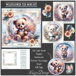 Wildflower Ted Mini Kit