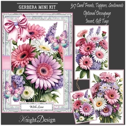Gerbera Mini Kit With Set Of 3 Card Fronts