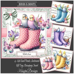 Birds & Boots Mini Kit With Set Of 4 Card Fronts