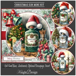 Christmas Gin With Set Of 4 Toppers
