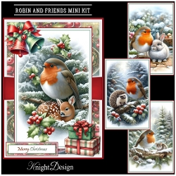 Robin And Friends Mini Kit