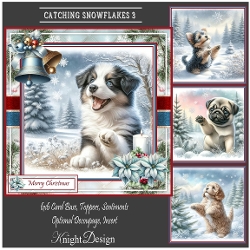 Catching Snowflakes 3 Mini Kit