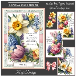 A Special Wish 3 Mini Kit