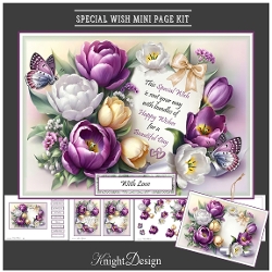 Special Wish Mini Page Kit