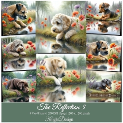 The Reflection 3 / Card Front / Toppers