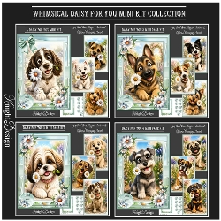Whimsical Daisy For You Mini Kit Collection