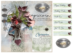 Zodiac Birthday Card - Capricorn