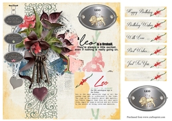 Zodiac Birthday Card - Leo