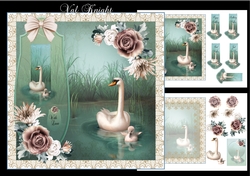 A Swan Song
