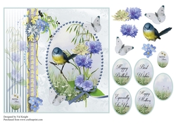 Cornflower Meadow