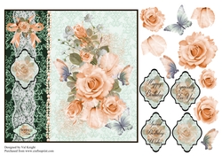 The Peach Rose