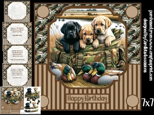 Ducks and dogs