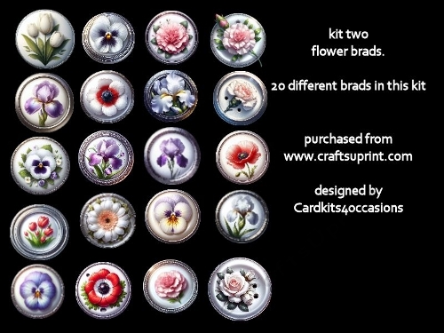 Floral brads kit two