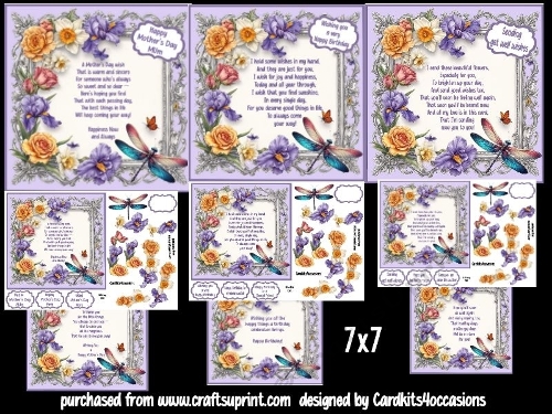 cup1392563_7172 - Flowers for occasions