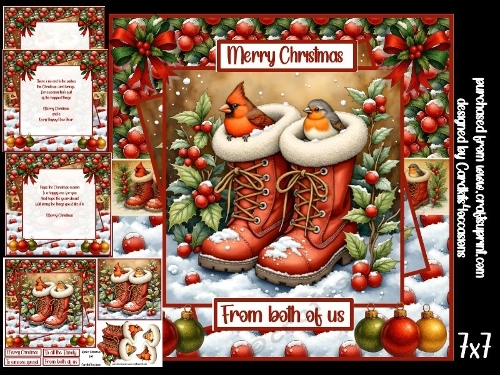 Two Festive birds in boots