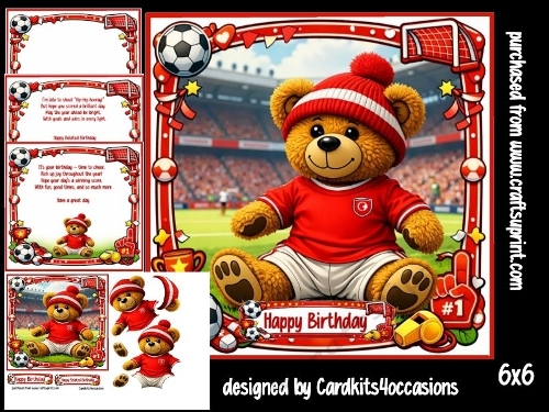 Ted tastic Football 6x61