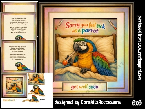 Sick as a Parrot 6x6