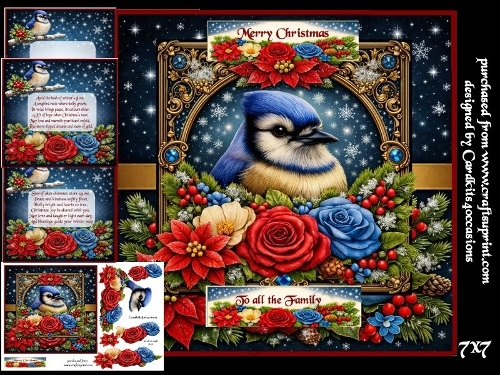 snow stars and feathered friends