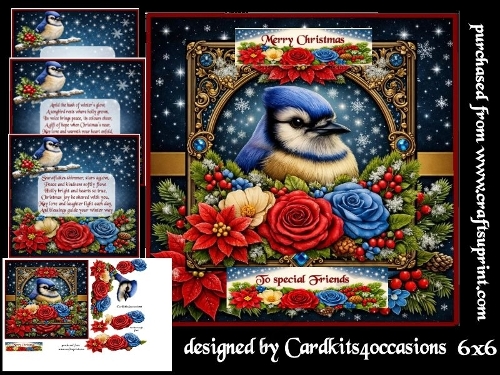 snow stars and feathered friends 6x6