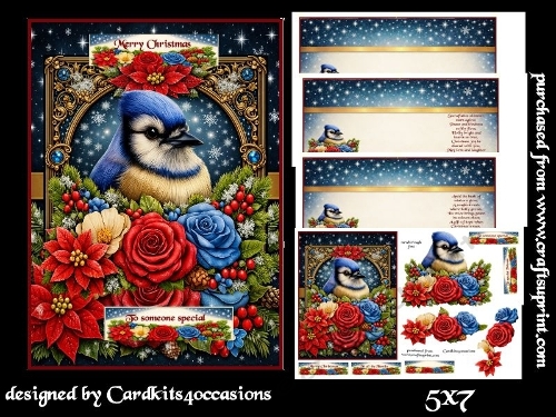 snow stars and feathered friends 5x7