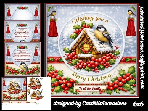 Feathered Friends and holly 6x6