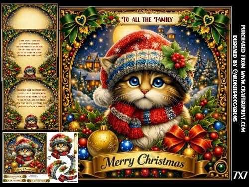 A purr a wink a snowy night