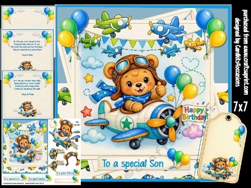 Birthday bear flys high