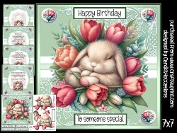 Tulip the Rabbit
