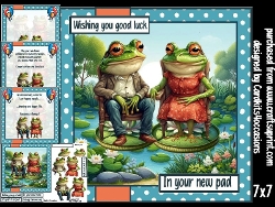 The frogs new home