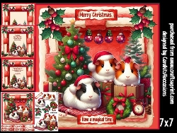 Festive Guinea Pigs