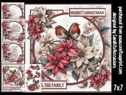 Poinsettias and Robins