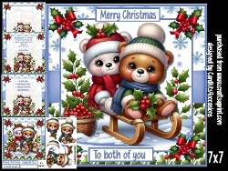 Sledging Bears