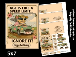 Age and speed limits 5x7