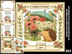 Hedgehog blooms and birdsong