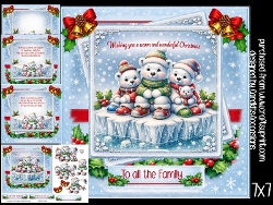 Polar Bear Wishes