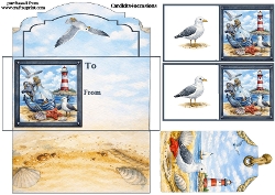 Seaside Money envelope and gift tags