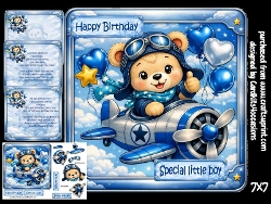 Birthday Pilot