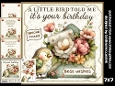 A little bird told me its your birthday