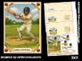A day of Cricket 5x7